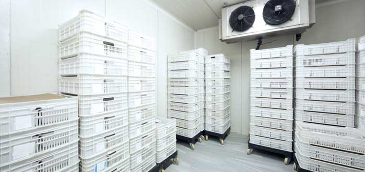 Refrigerated Storage for freight